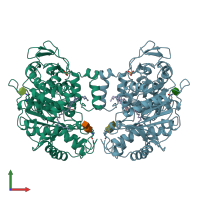 PDB entry 1cle coloured by chain, front view.