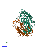 PDB entry 1clo coloured by chain, side view.