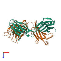 PDB entry 1clo coloured by chain, top view.