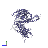 DNA-directed DNA polymerase in PDB entry 1clq, assembly 1, side view.