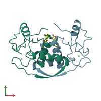 PDB entry 1cmc coloured by chain, front view.