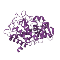 The deposited structure of PDB entry 1cmq contains 1 copy of SCOP domain 48114 (CCP-like) in Cytochrome c peroxidase, mitochondrial. Showing 1 copy in chain A.