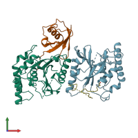 PDB entry 1cmx coloured by chain, front view.