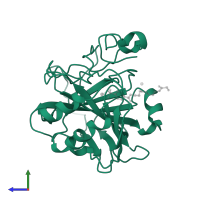 Carbonic anhydrase 2 in PDB entry 1cnw, assembly 1, side view.