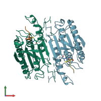 PDB entry 1cp3 coloured by chain, front view.