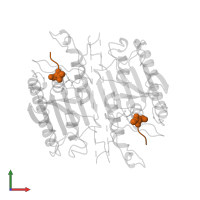 ACETYL-ASP-VAL-ALA-ASP-FLUOROMETHYLKETONE in PDB entry 1cp3, assembly 1, front view.