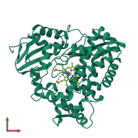 PDB entry 1cpt coloured by chain, front view.