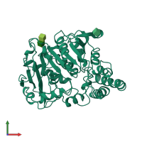 PDB entry 1cpy coloured by chain, front view.