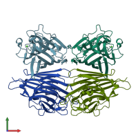 PDB entry 1cq9 coloured by chain, front view.