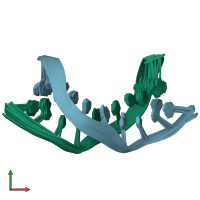 PDB entry 1cqo coloured by chain, ensemble of 10 models, front view.