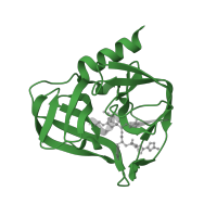 The deposited structure of PDB entry 1cqq contains 1 copy of Pfam domain PF00548 (3C cysteine protease (picornain 3C)) in Protease 3C. Showing 1 copy in chain A.