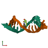 PDB entry 1cr3 coloured by chain, ensemble of 7 models, front view.