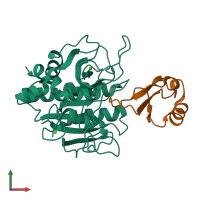 PDB entry 1cse coloured by chain, front view.