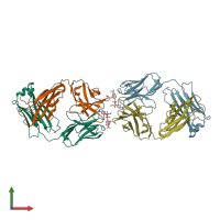 PDB entry 1ct8 coloured by chain, front view.