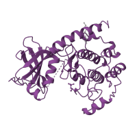 The deposited structure of PDB entry 1ctp contains 1 copy of SCOP domain 88854 (Protein kinases, catalytic subunit) in cAMP-dependent protein kinase catalytic subunit alpha. Showing 1 copy in chain A [auth E].
