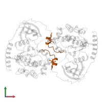 cAMP-dependent protein kinase inhibitor alpha in PDB entry 1ctp, assembly 1, front view.