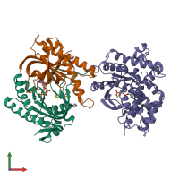 PDB entry 1cul coloured by chain, front view.