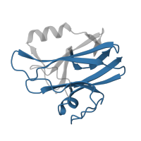 The deposited structure of PDB entry 1cur contains 1 copy of Pfam domain PF00127 (Copper binding proteins, plastocyanin/azurin family) in Rusticyanin. Showing 1 copy in chain A.