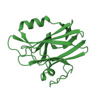 The deposited structure of PDB entry 1cur contains 1 copy of SCOP domain 49504 (Plastocyanin/azurin-like) in Rusticyanin. Showing 1 copy in chain A.