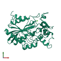 PDB entry 1cvl coloured by chain, front view.