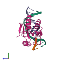 PDB entry 1cw0 coloured by chain, side view.