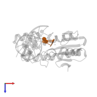 DNA (5'-D(*AP*GP*C)-3') in PDB entry 1cw0, assembly 1, top view.