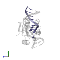 DNA (5'-D(P*TP*AP*GP*GP*TP*AP*CP*GP*T)-3') in PDB entry 1cw0, assembly 1, side view.