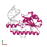 DNA mismatch endonuclease Vsr in PDB entry 1cw0, assembly 1, front view.