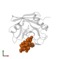 CYCLOSPORIN A in PDB entry 1cwb, assembly 1, front view.