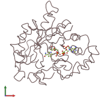 PDB entry 1cwn coloured by chain, front view.