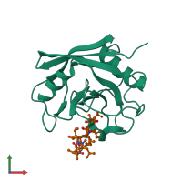 PDB entry 1cwo coloured by chain, front view.