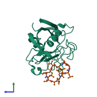 PDB entry 1cwo coloured by chain, side view.