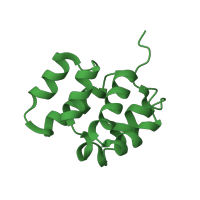 The deposited structure of PDB entry 1cww contains 1 copy of SCOP domain 81313 (Caspase recruitment domain, CARD) in Apoptotic protease-activating factor 1. Showing 1 copy in chain A.