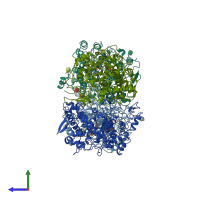 PDB entry 1cx2 coloured by chain, side view.