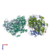 PDB entry 1cx2 coloured by chain, top view.