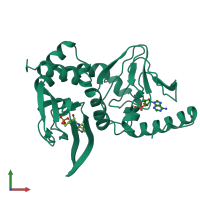 PDB entry 1cx4 coloured by chain, front view.