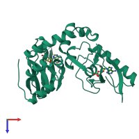 PDB entry 1cx4 coloured by chain, top view.