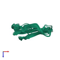 PDB entry 1cxo coloured by chain, ensemble of 9 models, top view.