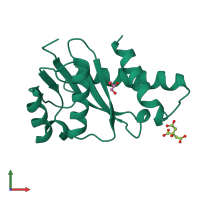 PDB entry 1cxu coloured by chain, front view.