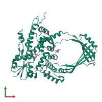 PDB entry 1cy2 coloured by chain, front view.