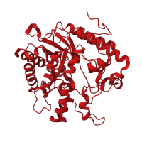 The deposited structure of PDB entry 1cz1 contains 1 copy of CATH domain 3.20.20.80 (TIM Barrel) in Glucan 1,3-beta-glucosidase. Showing 1 copy in chain A.