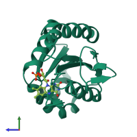 PDB entry 1czk coloured by chain, side view.