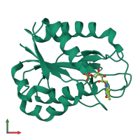 PDB entry 1czl coloured by chain, front view.