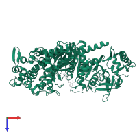 Myosin-2 heavy chain in PDB entry 1d0y, assembly 1, top view.