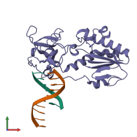 PDB entry 1d1u coloured by chain, front view.