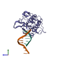 PDB entry 1d1u coloured by chain, side view.