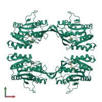 Homo tetrameric assembly 1 of PDB entry 1d2h coloured by chemically distinct molecules, front view.