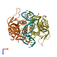 PDB entry 1d2i coloured by chain, top view.