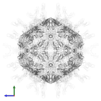 Capsid protein VP3 in PDB entry 1d3e, assembly 1, side view.