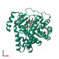 PDB entry 1d3h coloured by chain, front view.